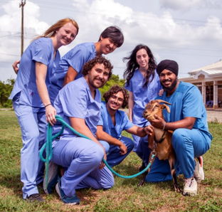 Unlock Your Path to Veterinary Success.