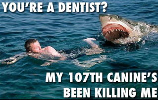 You're A Dentist?