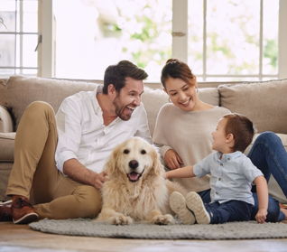 estate planning