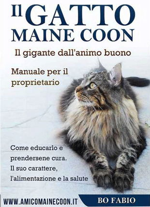 Copertina ebook Il Gatto Maine Coon