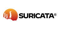 Logo 4