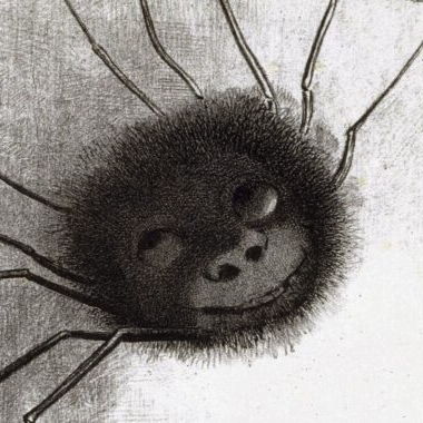 Odilon Redon, The Crying Spider