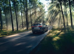 Lexus NX450h+
