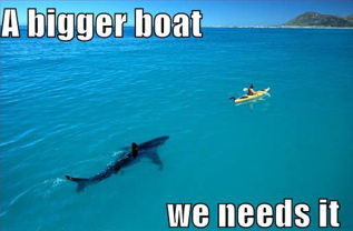 we need a bigger boat
