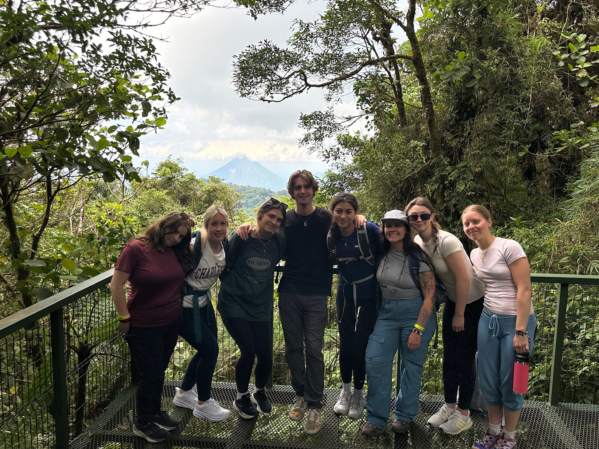 Jungle overlook group