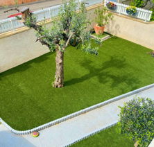 gazon naturel