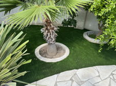 gazon naturel
