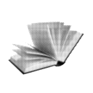 immersion