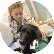 Therapy dog and child in hospital